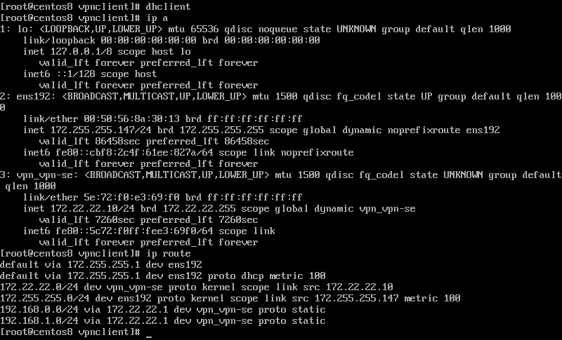 SoftEther VPN Client - IP Address and Route